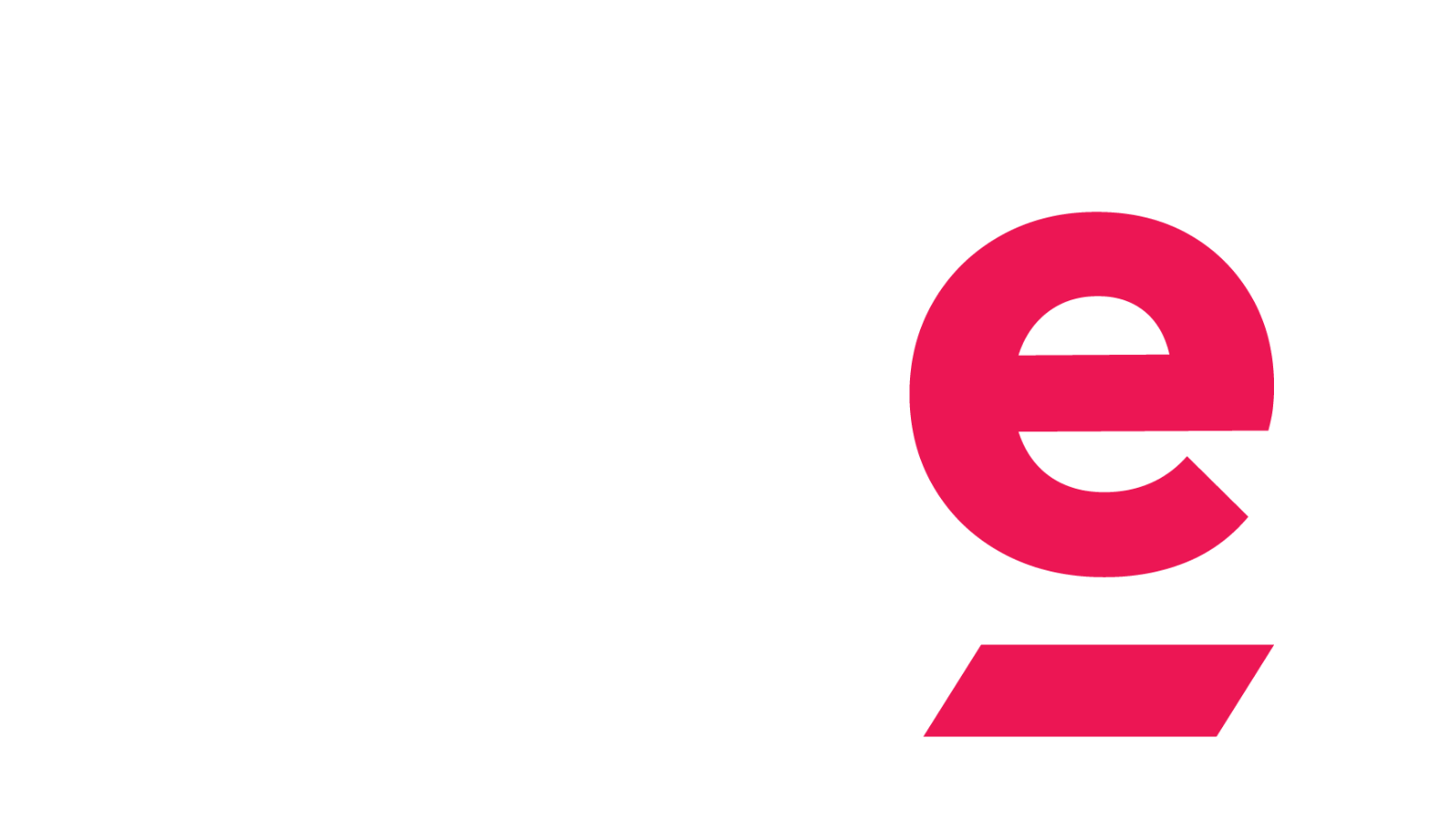 White DTE logo header image