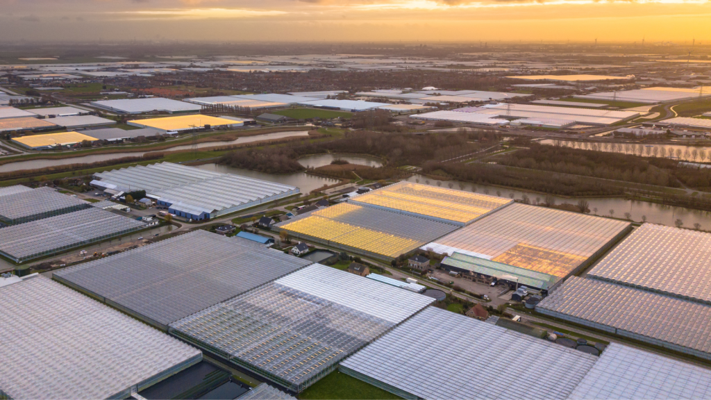 Top Wi-Fi Solutions for Modern Warehouses